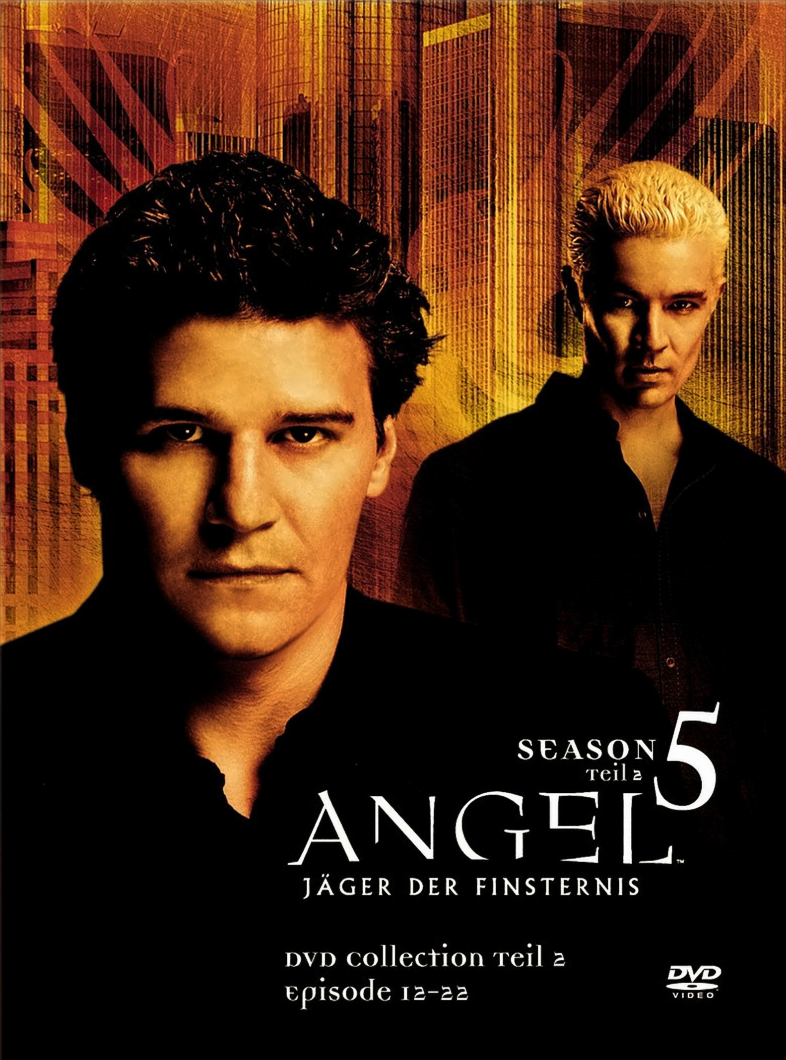 Angel - Jäger der Finsternis: Season 5.2 Collection (3 DVDs) von Fox