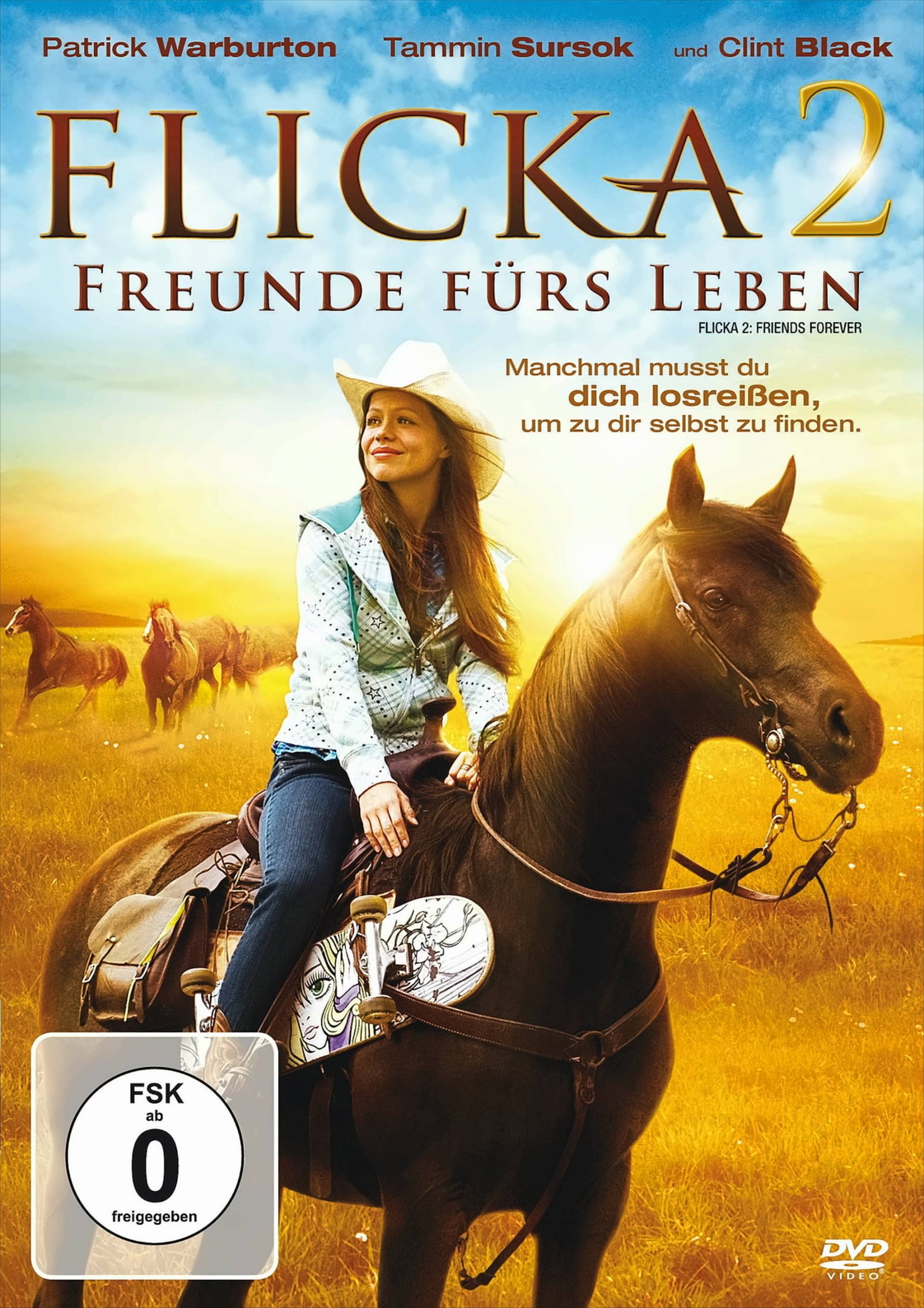 Flicka 2 - Freunde fürs Leben Flicka 2 - Freunde fürs Leben