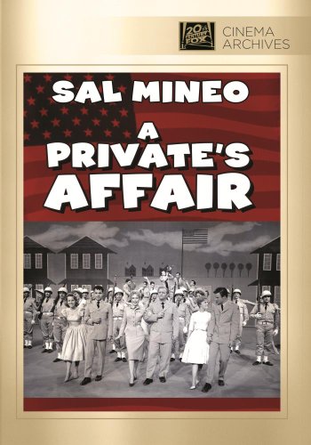 Privates Affair / (Full) [DVD] [Region 1] [NTSC] [US Import] von Fox