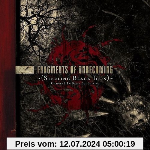 Sterling Black Icon von Fragments of Unbecoming
