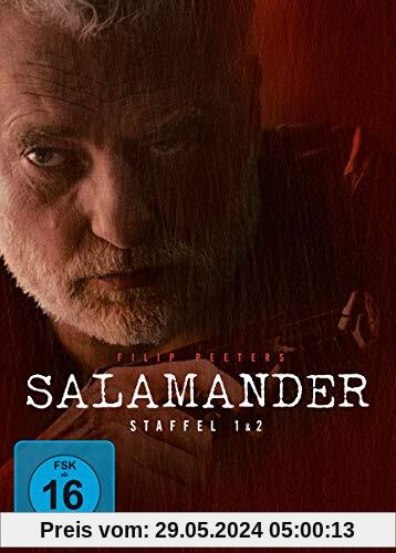 Salamander - Staffel 1 & 2 [7 DVDs] von Frank Mechelen