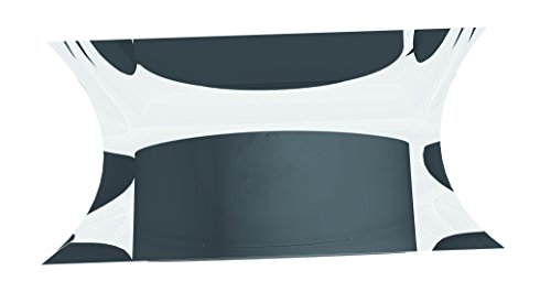 Franken HMAS10 Superstarke Neodym Magnet Stempel (20 x 20 x 10 mm) transparent von Franken