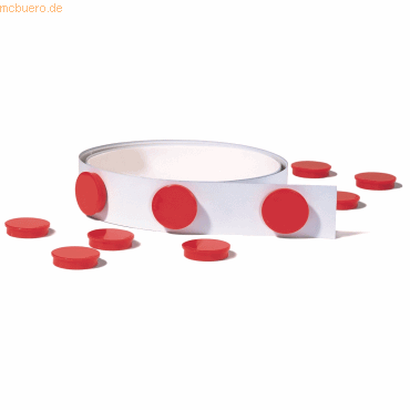 Franken Magnethaftband 50mmx25m weiß selbstklebend Franken Magnethaftband 50mmx25m weiß selbstklebend von Franken