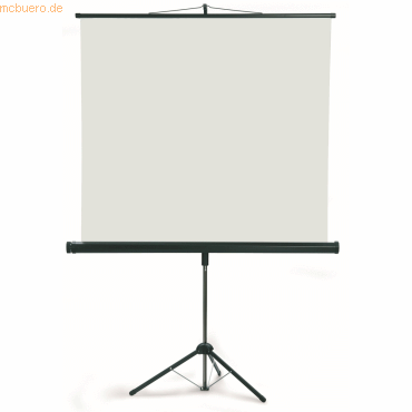 Franken Stativleinwand X-tra! Line 150x150 cm Typ D Franken Stativleinwand X-tra! Line 150x150 cm Typ D von Franken