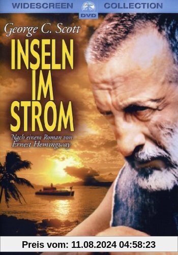 Inseln im Strom von Franklin J. Schaffner