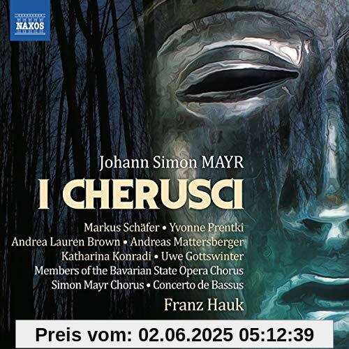 I Cherusci I Cherusci von Franz Hauk