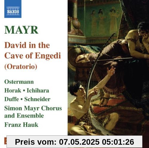 Mayr: David In Spelunca Engaddi von Franz Hauk