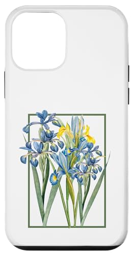 Damen Iris Blume Botanische Wildblumenblumenblumen grafik Hülle für iPhone 12 mini Damen Iris Blume Botanische Wildblumenblumenblumen grafik Hülle für iPhone 12 mini von Frauen Blumenblumen Boho Grafik