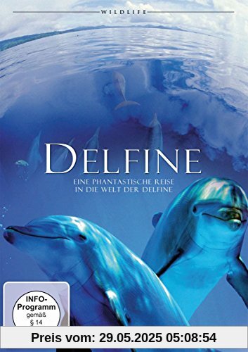 Delfine - Eine phantastische Reise in die Welt der Delfine Delfine - Eine phantastische Reise in die Welt der Delfine von Frederick Forell