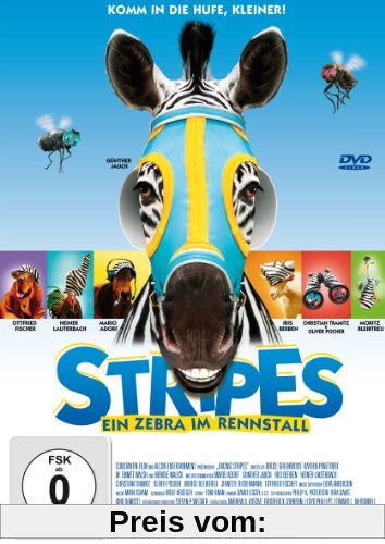 Stripes - Ein Zebra im Rennstall von Frederik Du Chau