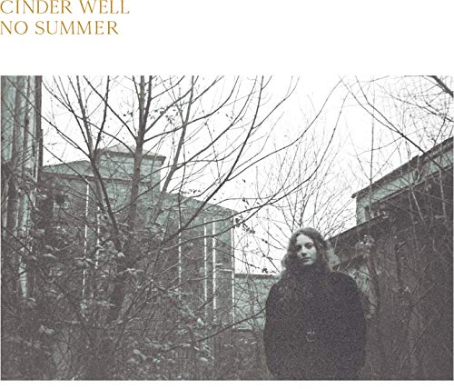 No Summer (LP) [Vinyl LP] von Free Dirt Records