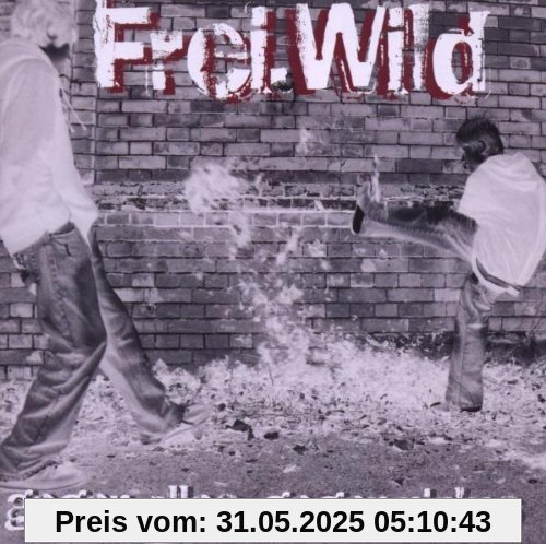 Gegen Alles,Gegen Nichts von Frei.Wild