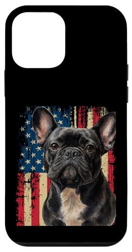 Frenchie 4. Juli Französischer Hund USA Flagge Where's the Paw-ty Hülle für iPhone 12 mini Frenchie 4. Juli Französischer Hund USA Flagge Where's the Paw-ty Hülle für iPhone 12 mini von French Bulldog USA Flag Let's Pawty Men Women Kid