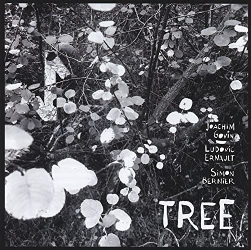 Tree von Fresh Sound New Talent (Fenn Music)