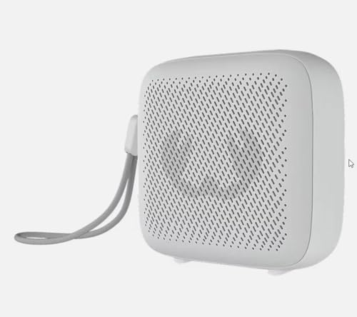 Fresh 'n Rebel Wireless Bluetooth Speaker IPX-5, bis zu 20 Std. Akku Laufzeit, Spritzwassergeschützt, Micro-SD Slot, Typ-C, auch für PC Und Multimedia nutzbar, eingebaute Mikrofon (Ice Grey) von Fresh 'n Rebel