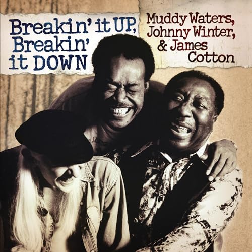 Breakin' It Up Breakin' It Down (Translucent Gold Vinyl/Gatefold Cover & Poster) [Vinyl LP] von Friday Music