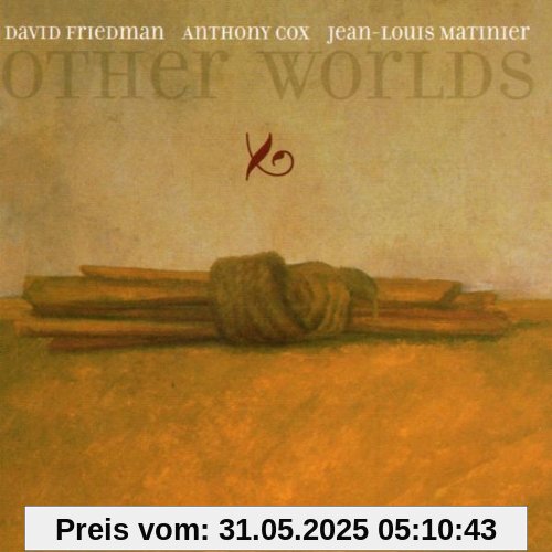 Other Worlds Other Worlds von Friedman