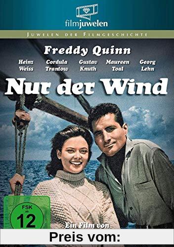 Nur der Wind von Fritz Umgelter