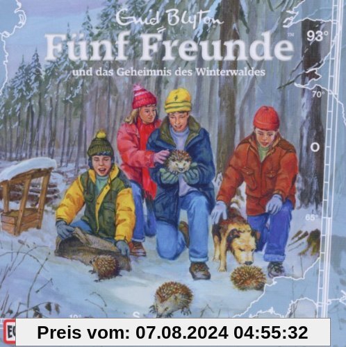 093/und das Geheimnis des Winterwaldes von Fünf Freunde