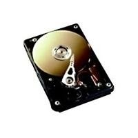 Fujitsu 750 GB SATA 3 GB/s 7,2 K Nicht heiß pl 3,5 Zoll Festplatte 3,5 Zoll Fujitsu 750 GB SATA 3 GB/s 7,2 K Nicht heiß pl 3,5 Zoll Festplatte 3,5 Zoll von Fujitsu