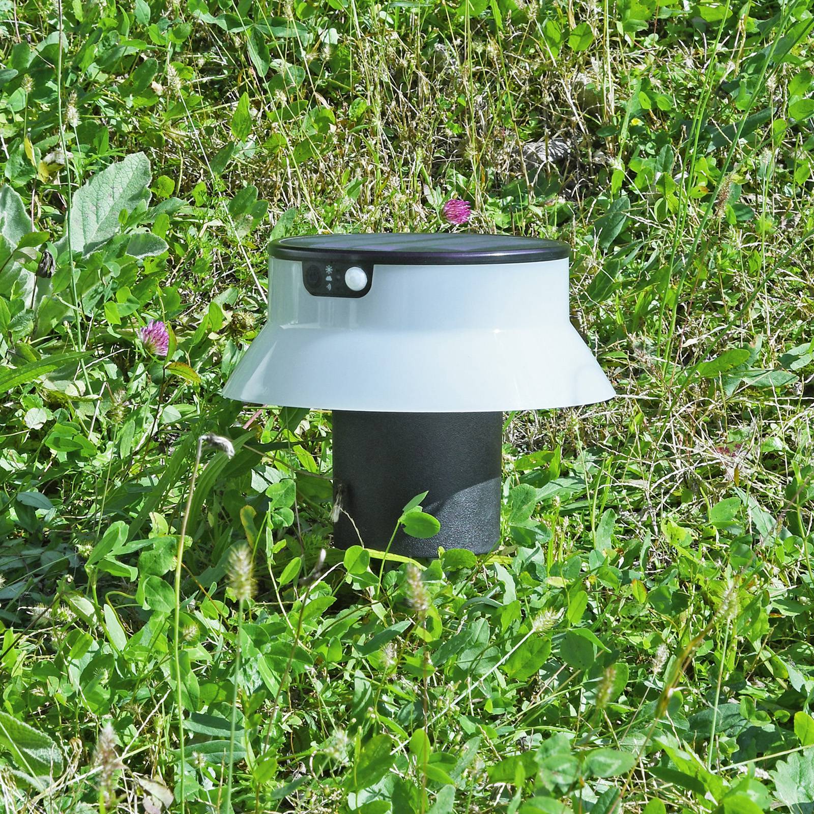 LED-Solarleuchte Felice schwarz CCT mit Erdspieß LED-Solarleuchte Felice schwarz CCT mit Erdspieß von Fumagalli