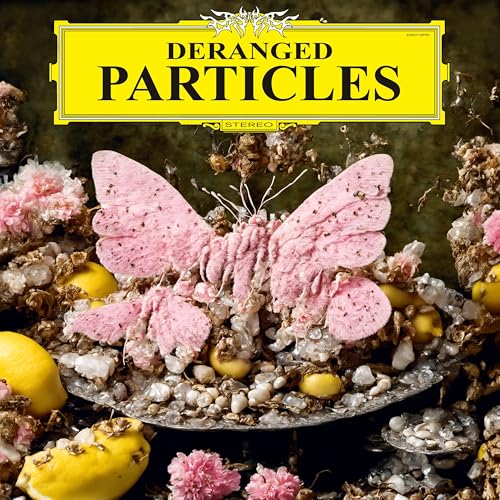 Deranged Particles [Vinyl LP] von Fun in the Church (H'Art)