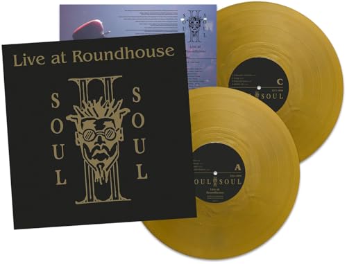 Live at the Roundhouse (Ltd. Gold Coloured Vinyl) [Vinyl LP] von Funki Dred (Rough Trade)