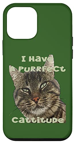 "I Have A Purrfect Cattitude", lustiges Wortspiel Zitat Hülle für iPhone 12 mini "I Have A Purrfect Cattitude", lustiges Wortspiel Zitat Hülle für iPhone 12 mini von Funny Cat Quote Tees and Amusing Cat Gifts taiche