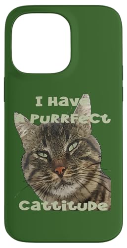 "I Have A Purrfect Cattitude", lustiges Wortspiel Zitat Hülle für iPhone 14 Pro Max "I Have A Purrfect Cattitude", lustiges Wortspiel Zitat Hülle für iPhone 14 Pro Max von Funny Cat Quote Tees and Amusing Cat Gifts taiche