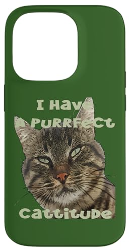 "I Have A Purrfect Cattitude", lustiges Wortspiel Zitat Hülle für iPhone 14 Pro "I Have A Purrfect Cattitude", lustiges Wortspiel Zitat Hülle für iPhone 14 Pro von Funny Cat Quote Tees and Amusing Cat Gifts taiche