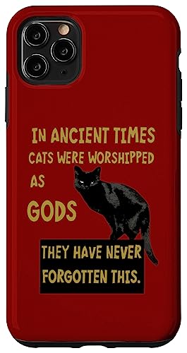 In der Antike wurden Katzen als Götter verehrt Hülle für iPhone 11 Pro Max In der Antike wurden Katzen als Götter verehrt Hülle für iPhone 11 Pro Max von Funny Cat Quote Tees and Amusing Cat Gifts taiche