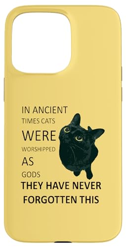 In der Antike wurden Katzen als Götter verehrt Hülle für iPhone 15 Pro Max In der Antike wurden Katzen als Götter verehrt Hülle für iPhone 15 Pro Max von Funny Cat Quote Tees and Amusing Cat Gifts taiche