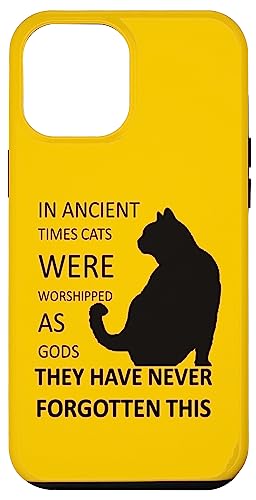 In der Antike wurden Katzen als Götter verehrt v1 Hülle für iPhone 12 Pro Max In der Antike wurden Katzen als Götter verehrt v1 Hülle für iPhone 12 Pro Max von Funny Cat Quote Tees and Amusing Cat Gifts taiche