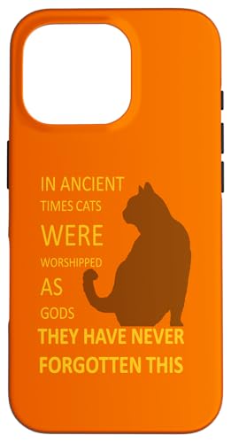 In der Antike wurden Katzen als Götter verehrt v5 Hülle für iPhone 16 Pro In der Antike wurden Katzen als Götter verehrt v5 Hülle für iPhone 16 Pro von Funny Cat Quote Tees and Amusing Cat Gifts taiche