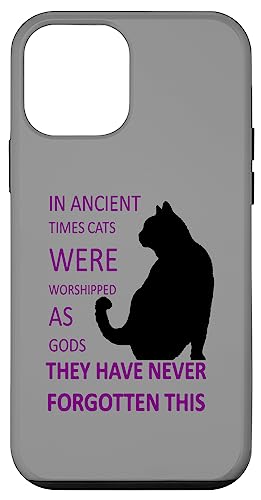 In der Antike wurden Katzen als Götter verehrt v7 Hülle für iPhone 12 mini In der Antike wurden Katzen als Götter verehrt v7 Hülle für iPhone 12 mini von Funny Cat Quote Tees and Amusing Cat Gifts taiche