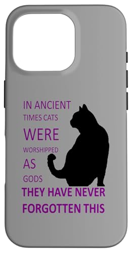 In der Antike wurden Katzen als Götter verehrt v7 Hülle für iPhone 16 Pro In der Antike wurden Katzen als Götter verehrt v7 Hülle für iPhone 16 Pro von Funny Cat Quote Tees and Amusing Cat Gifts taiche