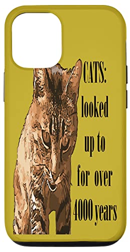 Katzen: Seit über 4000 Jahren nachgeschaut Hülle für iPhone 12/12 Pro Katzen: Seit über 4000 Jahren nachgeschaut Hülle für iPhone 12/12 Pro von Funny Cat Quote Tees and Amusing Cat Gifts taiche