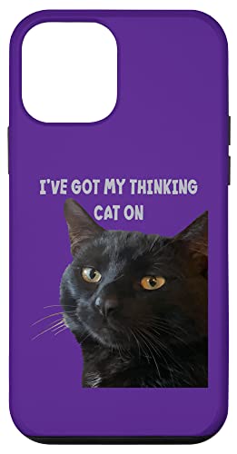 Lustiges Wortspiel mit Zitat "I 've Got My Thinking Cat" Hülle für iPhone 12 mini Lustiges Wortspiel mit Zitat "I 've Got My Thinking Cat" Hülle für iPhone 12 mini von Funny Cat Quote Tees and Amusing Cat Gifts taiche