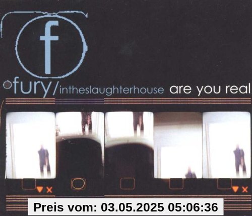 Are You Real Are You Real von Fury in the Slaughterhouse