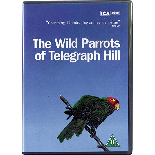 The Wild Parrots Of Telegraph Hill [2003] [DVD] [UK Import] von Fusion