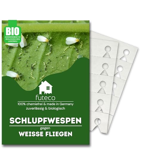 Futeco® – Schlupfwespen gegen Weiße-Fliegen – für 10m² Fläche – zum einfachen auslegen – 100% Biologisch, Chemiefrei & Natürlich – Made in Germany von Futeco