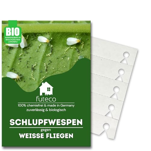 Futeco® – Schlupfwespen gegen Weiße-Fliegen – für 5m² Fläche – zum einfachen auslegen – 100% Biologisch, Chemiefrei & Natürlich – Made in Germany von Futeco