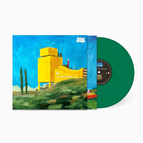 Gone Down Meadowland [Vinyl LP] von Fuzz Club