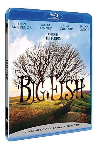 Big fish [Blu-ray] [FR Import] von G.C.T.H.V.