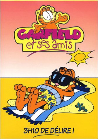 Garfield et ses amis : Les Meilleurs amis du monde / Besoin d'ailleurs - Coffret 2 DVD [FR Import] von G.C.T.H.V.
