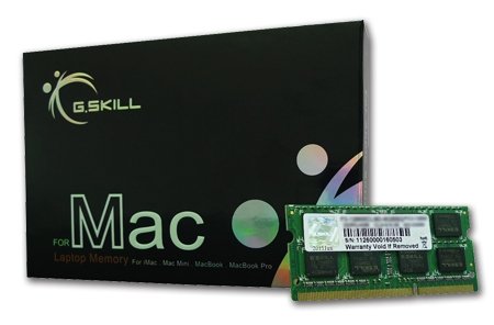 G.SKILL 8GB DDR3-1600, FA-1600C11S-8GSQ von G.SKILL