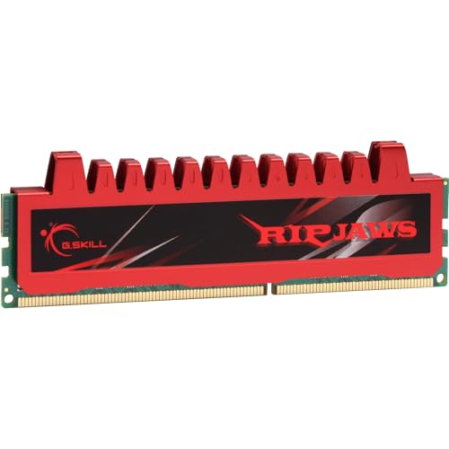 G.Skill PC3-8500 Arbeitsspeicher 4GB (1066 MHz, 240-polig) DDR3-RAM Kit von G.Skill