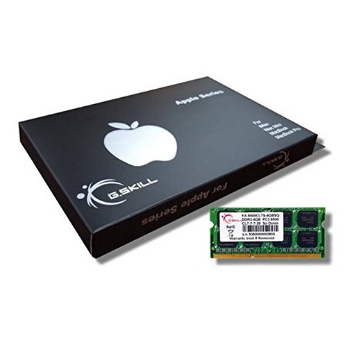 Memoria G.SKILL SO-DIMM DDR3 1066 PC3-8500 4GB CL7 para MAC von G.SKILL