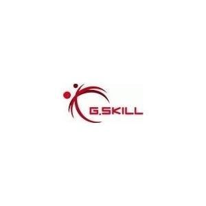 G.Skill AEGIS - DDR4 - Kit - 32 GB: 2 x 16 GB - DIMM 288-PIN - 2400 MHz / PC4-19200 - CL17 - 1.2 V - ungepuffert - non-ECC von G.Skill