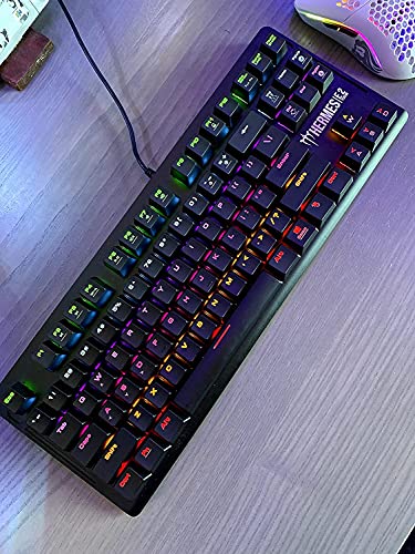 GAMDIAS Hermes E2 Mechanische Tastatur mit braunen Schaltern, 87 Tasten, Metallblende, schwarz von GAMDIAS